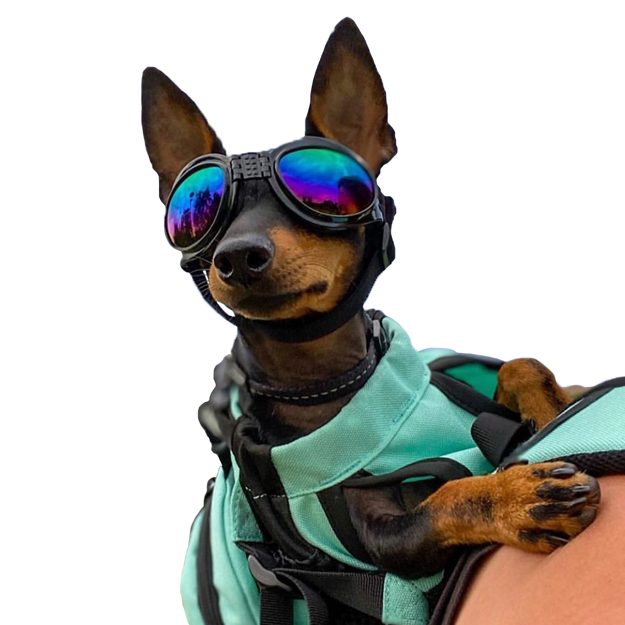 Shades_Lifestyle_Shopify.png